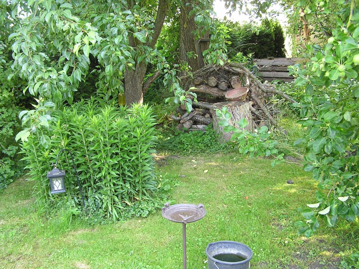Peeneurlaub Lassan Extérieur photo